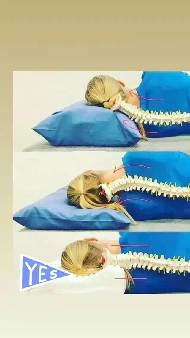 بالش طبی|رختخواب، بالش، پتو|بندر کنگان, |دیوار