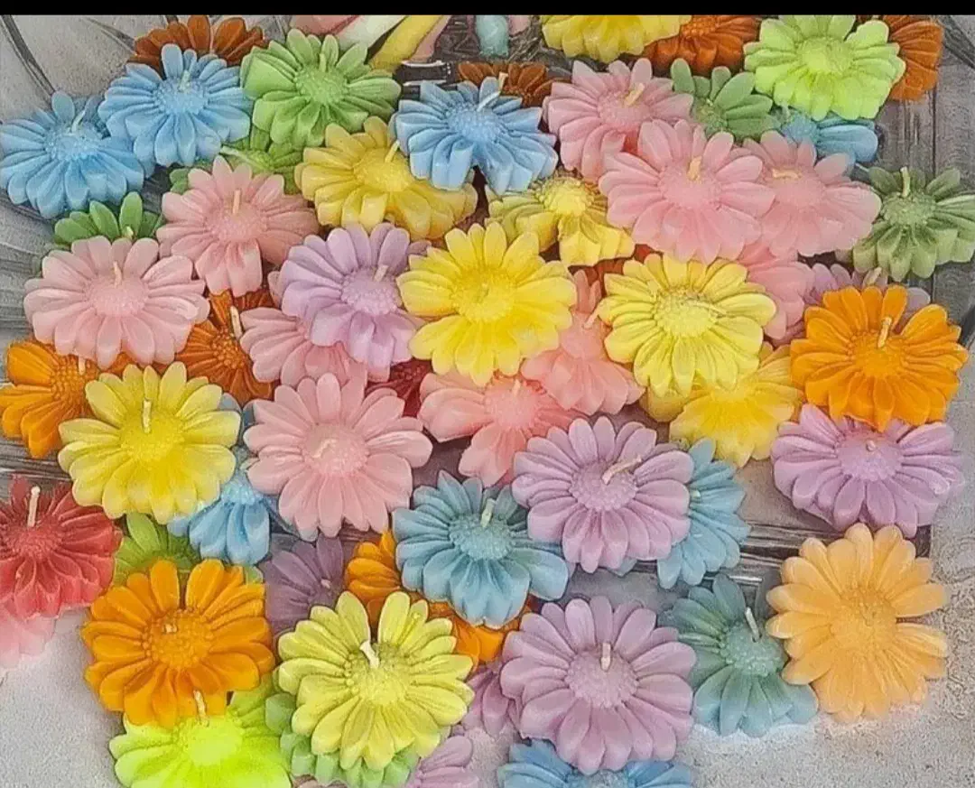 گالری گل شب بو ،گیفت با شمع|صنایع دستی و سایر لوازم تزئینی|شیراز, شهرک بهشتی|دیوار