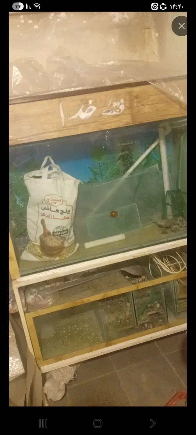 اکواریوم|ماهیگیری|ساوه, |دیوار