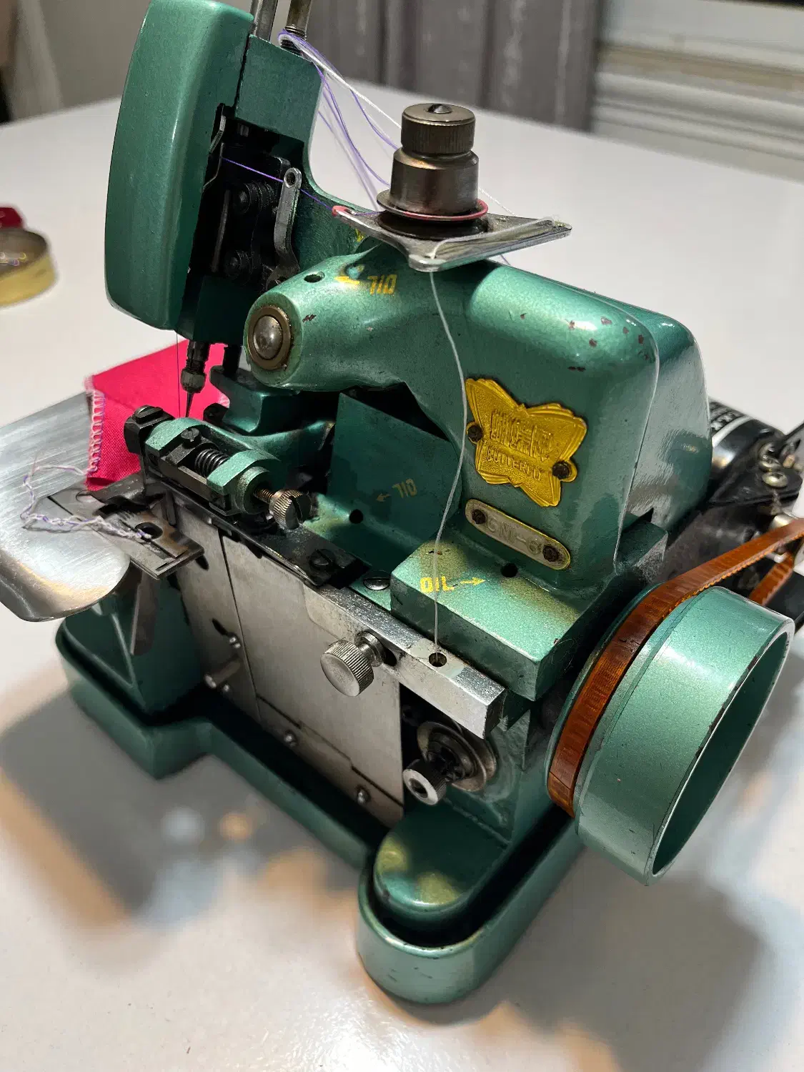 سردوز پروانه|چرخ خیاطی و ریسندگی|رشت, کاکتوس|دیوار