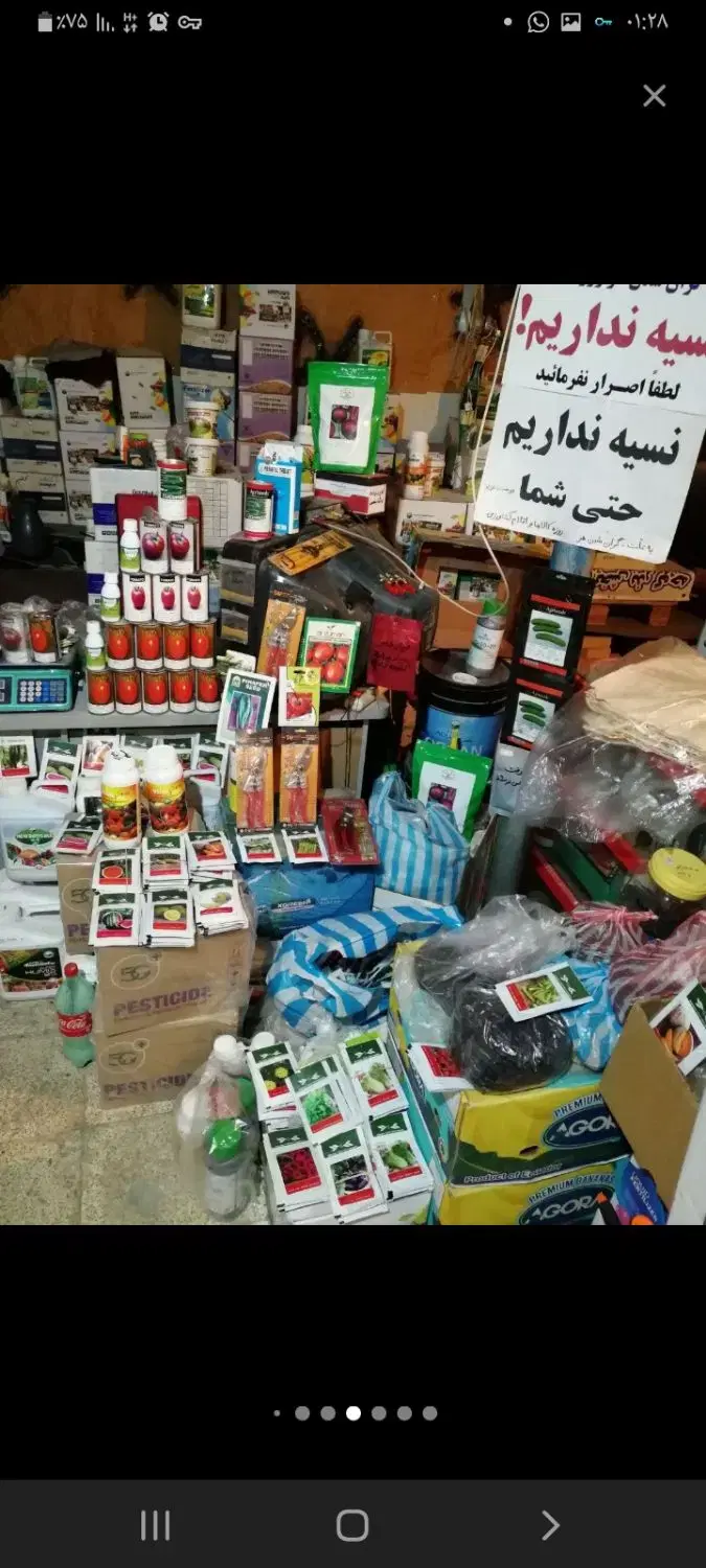 بذر|خدمات باغبانی و درختکاری|جیرفت, |دیوار