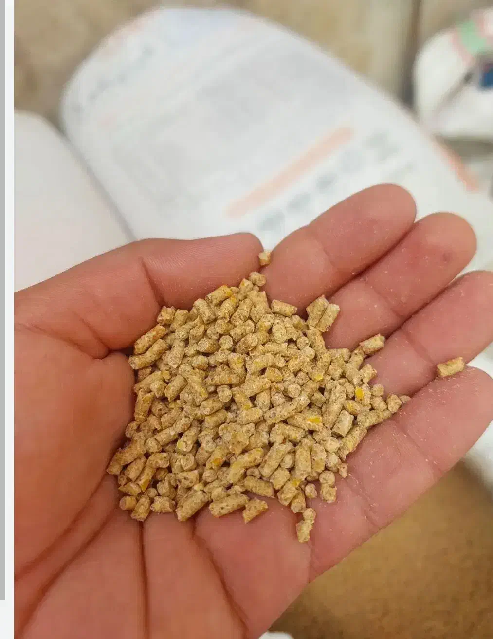 فروش دان خوراک گوسفند گاو طیورذرت با کیفیت|حیوانات مزرعه|یزد, |دیوار