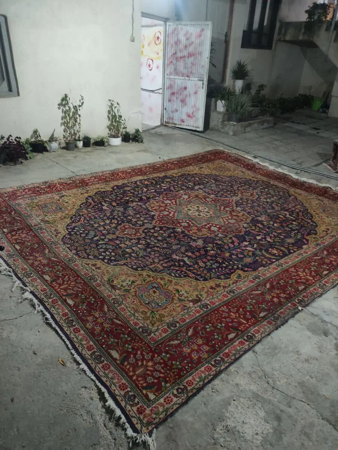 ۲ عدد فرش دستباف کاشمر ۱۲ متری مال پنجاه سال پیش|فرش|بهشهر, |دیوار