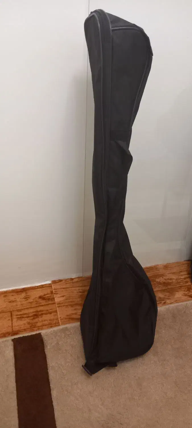 کاور برزنتی تار|سازهای سنتی|الوند, |دیوار