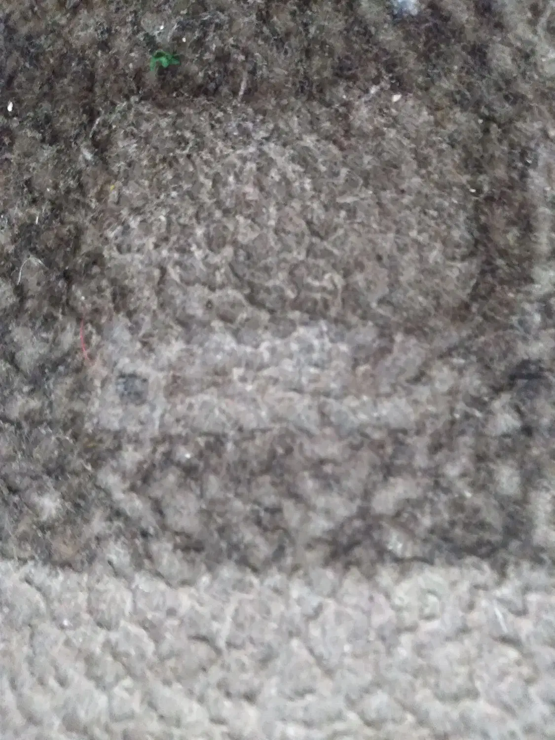 کاپشن|لباس|اهر, |دیوار