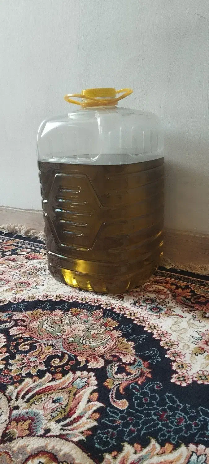 روغن زیتون رودبار بابو امساله اصل|خوردنی و آشامیدنی|رودبار, |دیوار