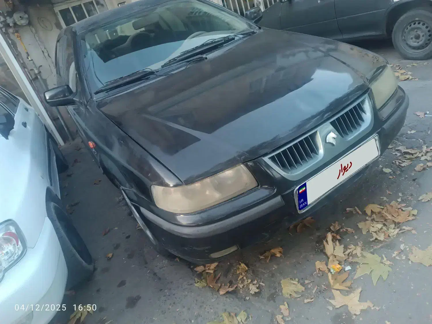 سمند مدل 81|خودرو سواری و وانت|مراغه, |دیوار