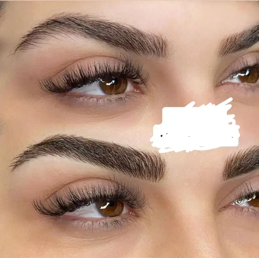 فیبرز|فعالیت داوطلبانه تحقیقاتی|بروجرد, |دیوار