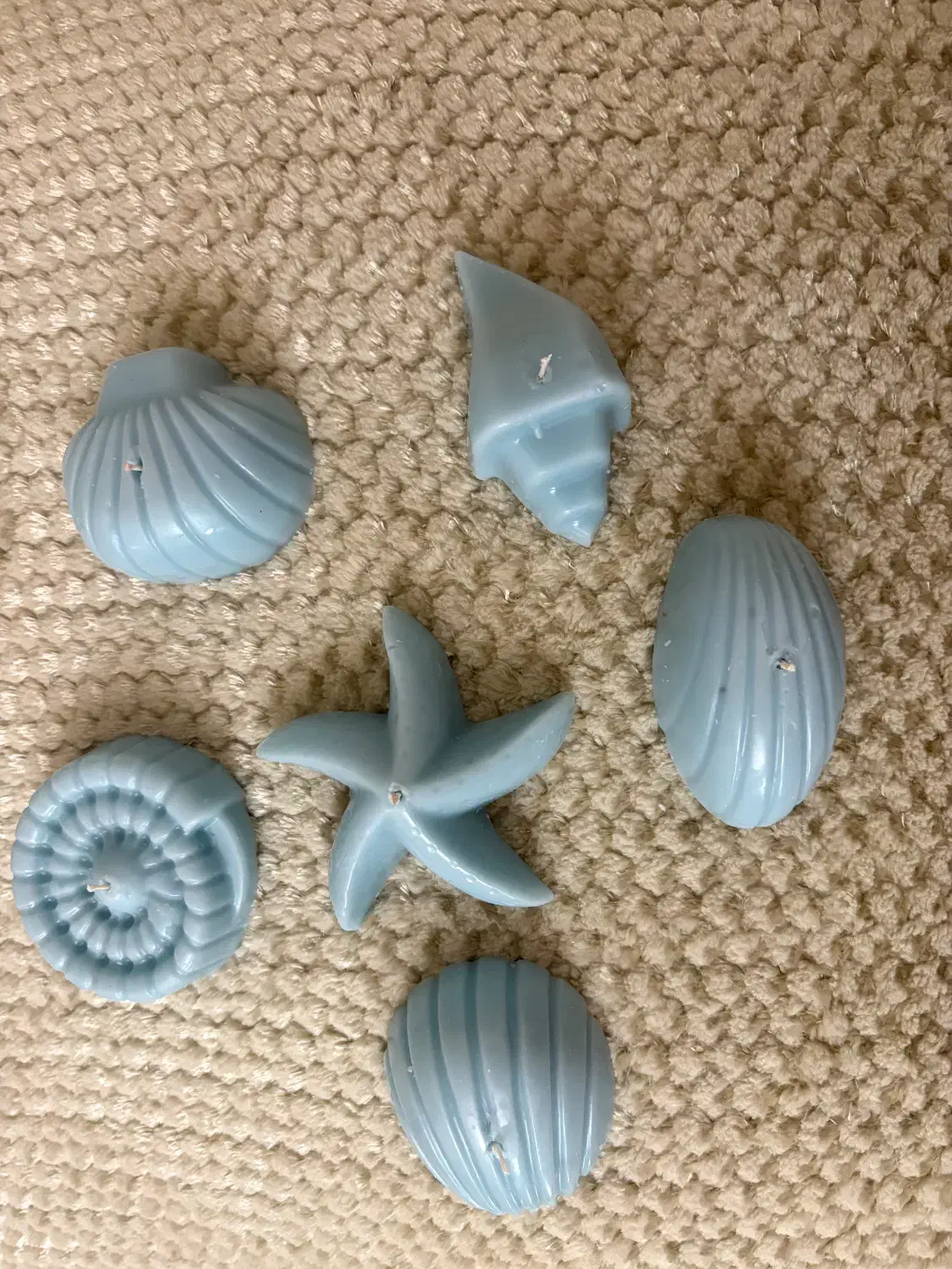 شمع دریایی|صنایع دستی و سایر لوازم تزئینی|سبزوار, عظیمیان|دیوار