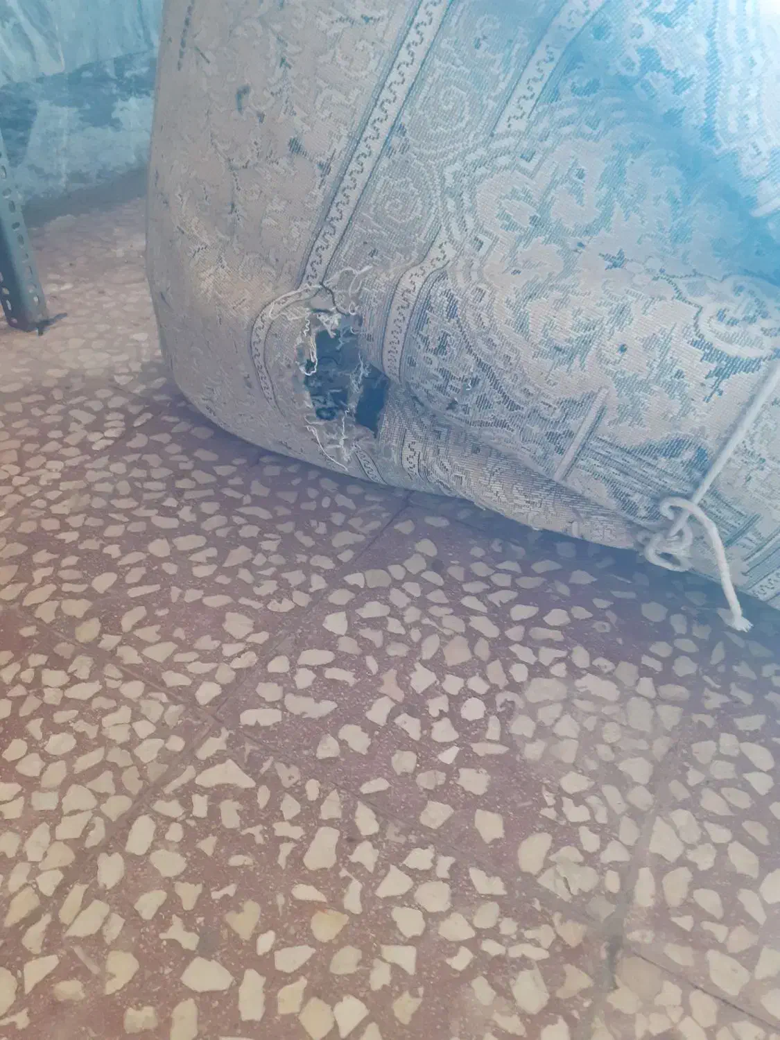 فرش ۱۲متری|فرش|کنگاور, |دیوار