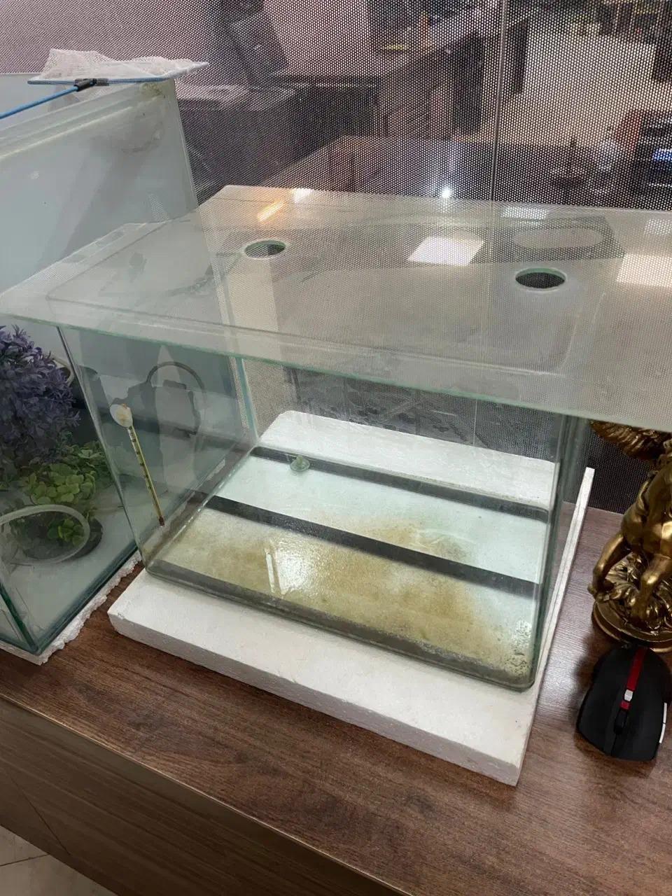 آکواریوم بزرگ و کوچک با تجهیزات|ماهی|شهریار, شهرک شاهد|دیوار