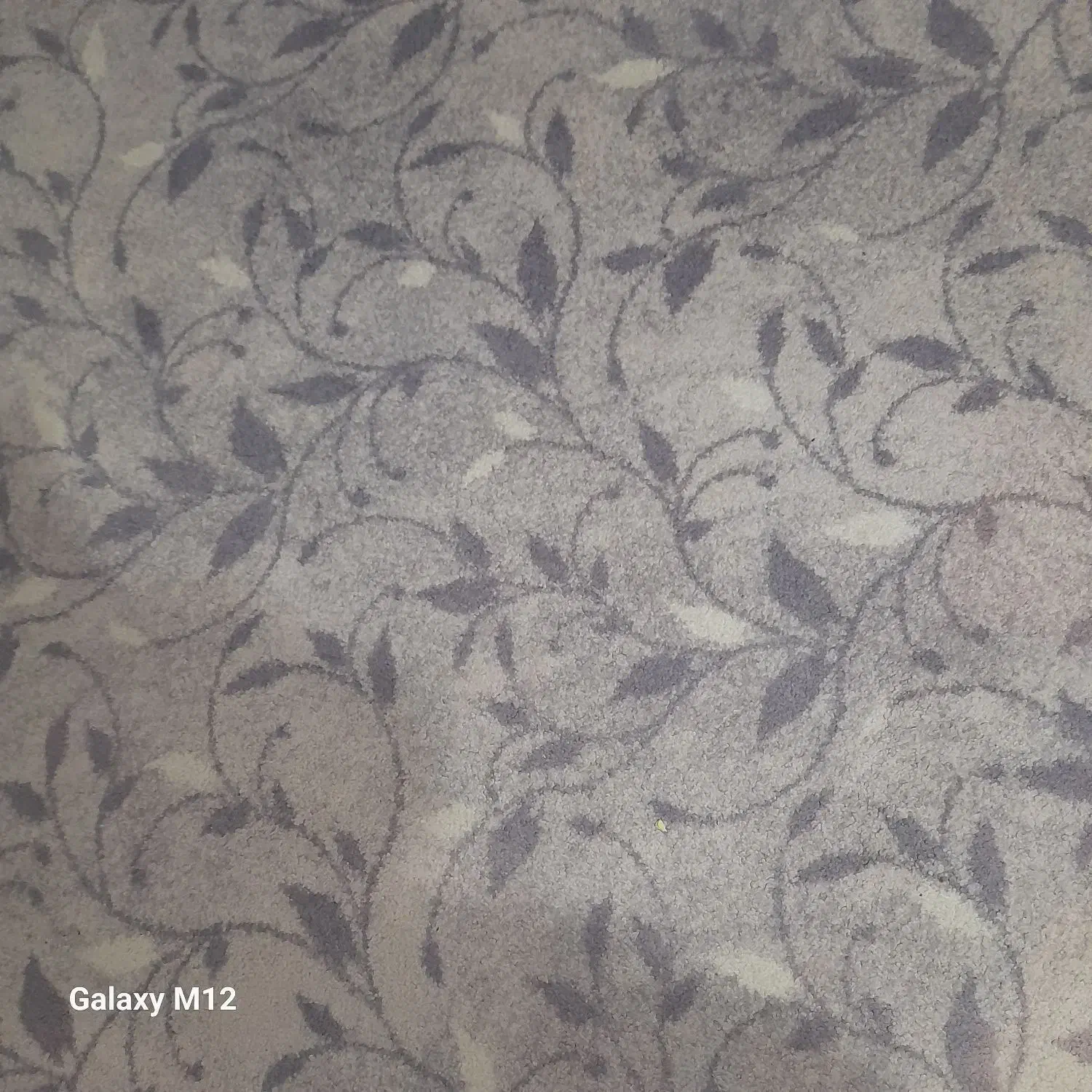 پالاز موکت|موکت|خرمشهر, |دیوار