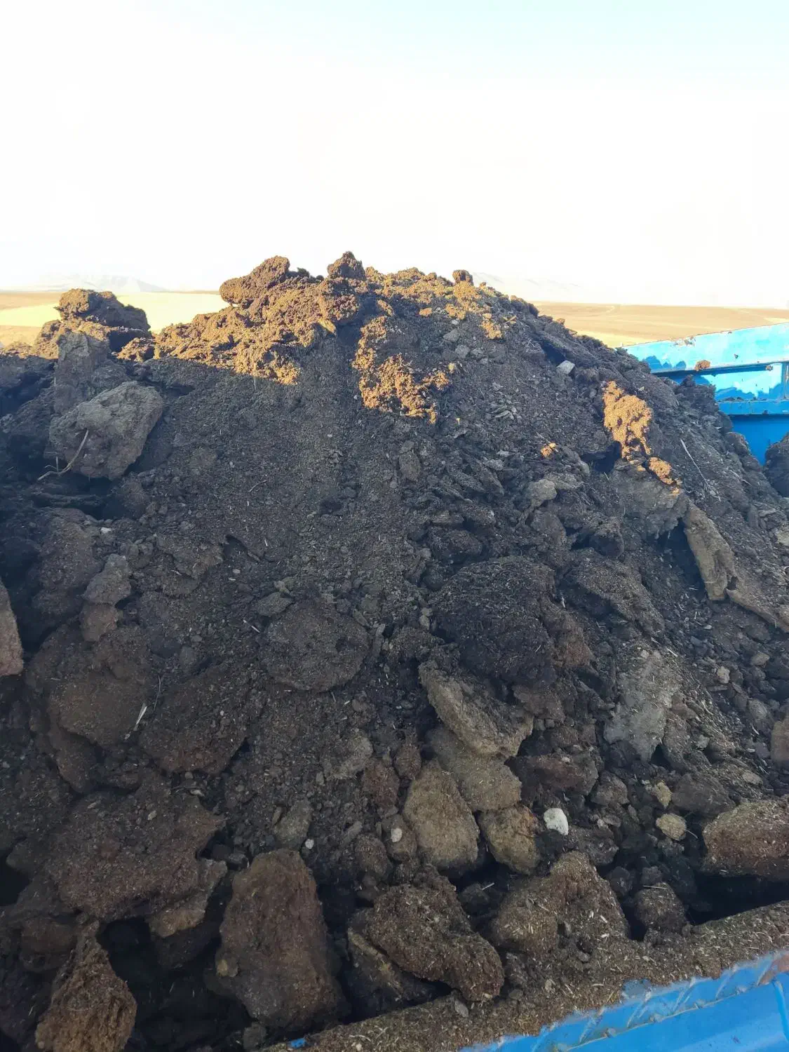 کود حیوانی برای باغداران عزیز کود دو سه ساله|خدمات باغبانی و درختکاری|نختالو, |دیوار