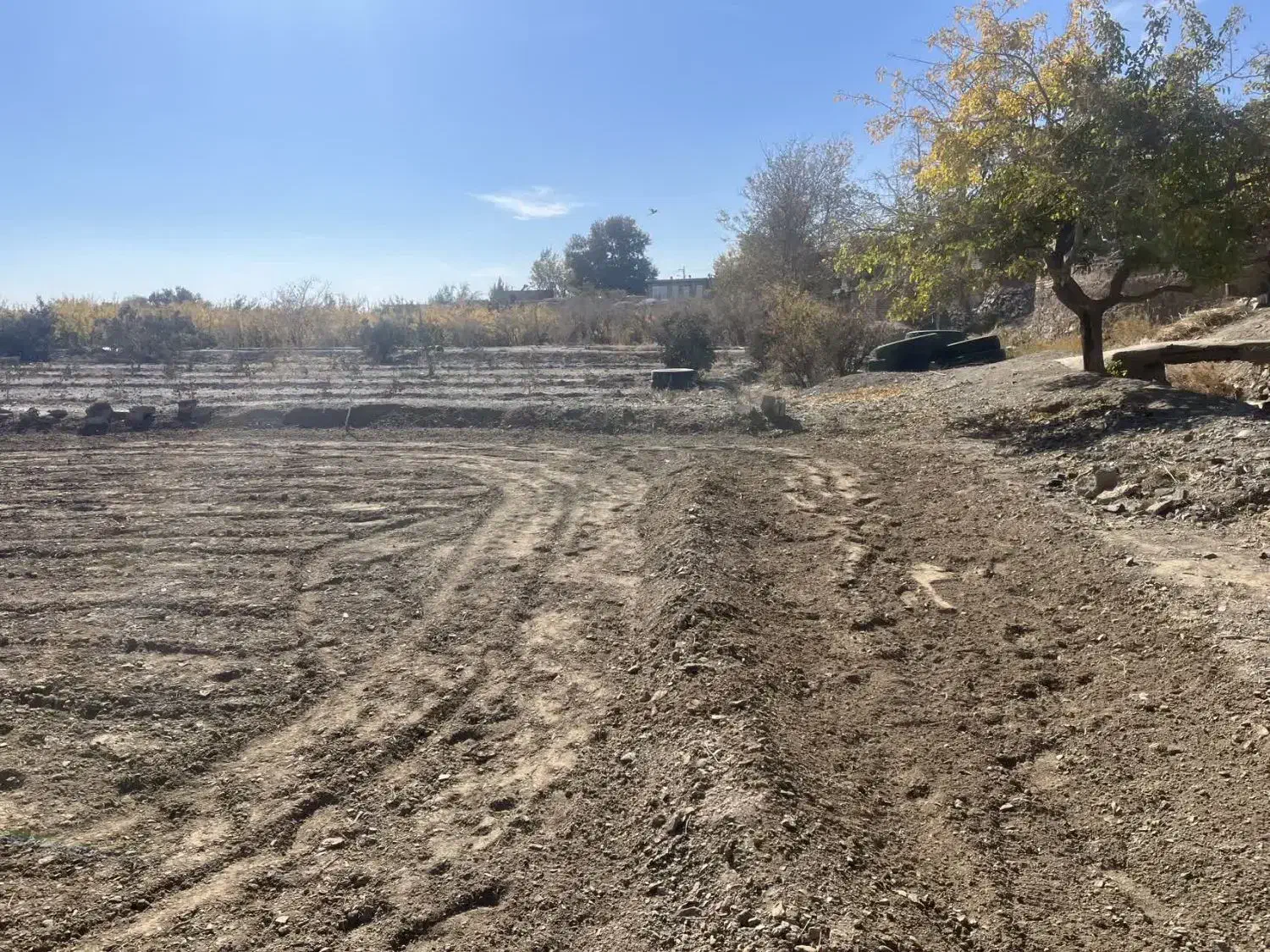 زمین زعفرانی کنار شاه جو بلده|فروش زمین و ملک کلنگی|اسلامیه, |دیوار