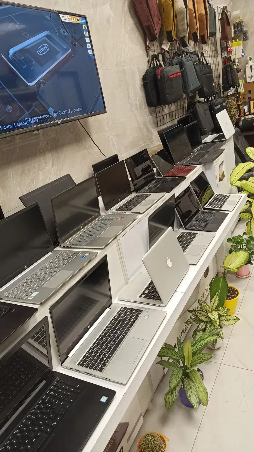 نمایندگی اصلیHp*Asus*Lenovo قسطی12ماهه بدون سود|رایانه همراه|گرگان, |دیوار