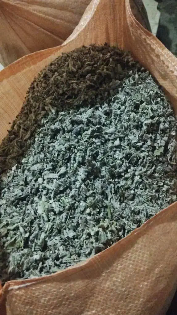 پونه برگ کوهی|گل و گیاه طبیعی|نمین, |دیوار