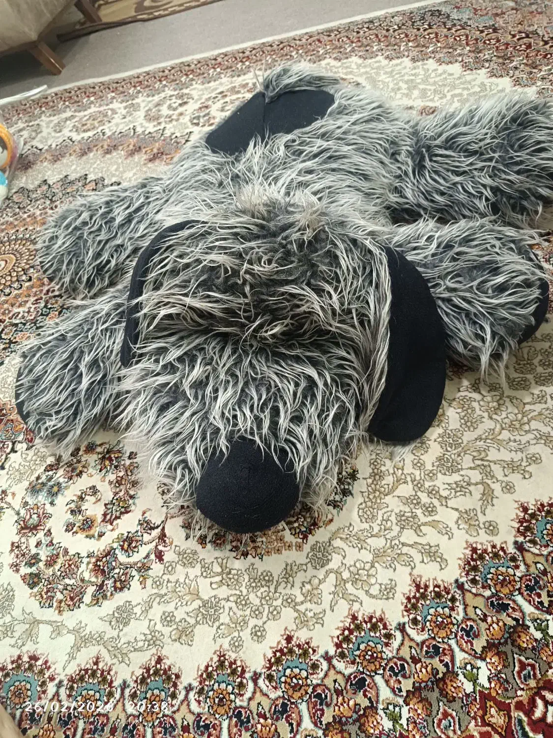 عروسک|اسباب‌بازی بچه|مشهد, دانشجو|دیوار