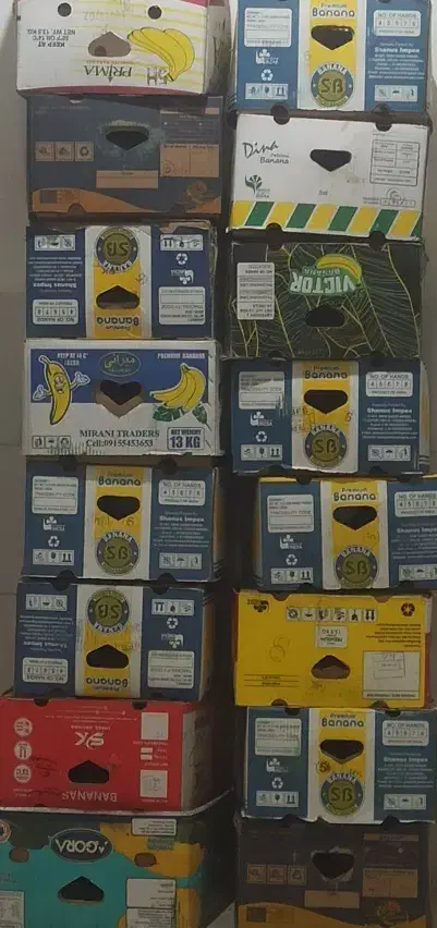 کارتن موزی|عمده‌فروشی|یزد, |دیوار