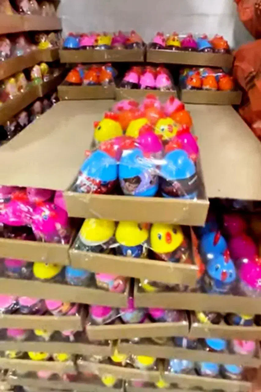 واحد تولید جوجه خروس و...|اسباب‌‌بازی|کرمانشاه, |دیوار