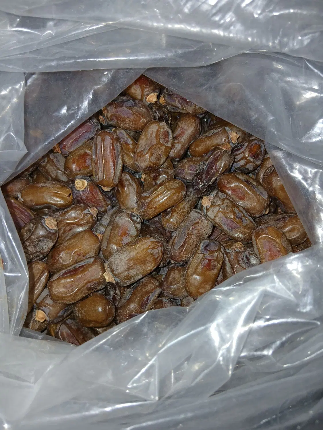 خرما|خوردنی و آشامیدنی|بهبهان, |دیوار