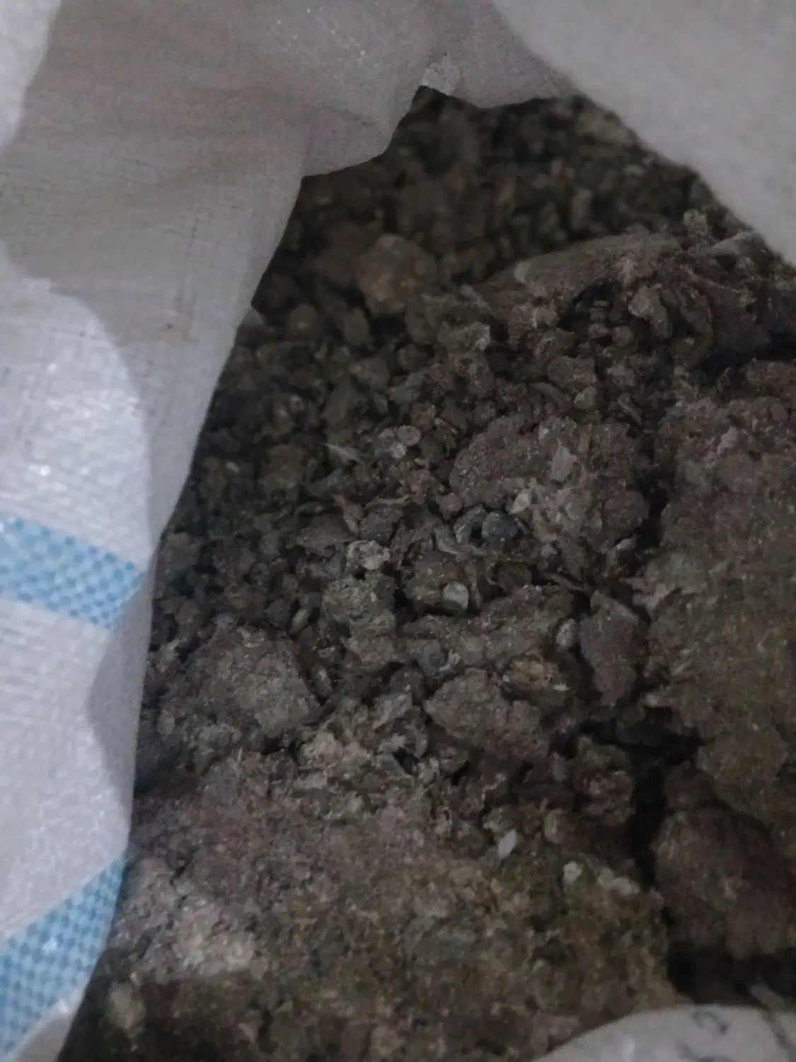 زیل کبوتر|خدمات باغبانی و درختکاری|تبریز, |دیوار