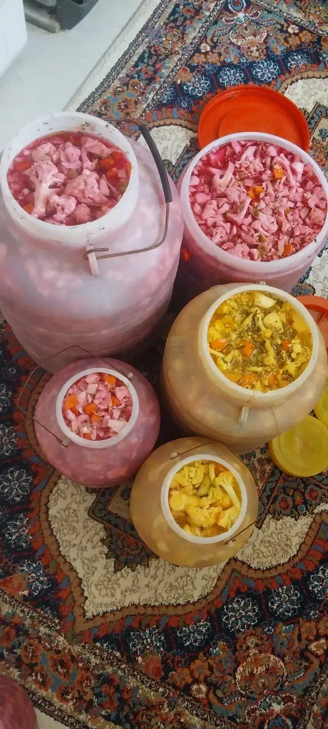 ترشی خانگی|خوردنی و آشامیدنی|قم, ولیعصر|دیوار