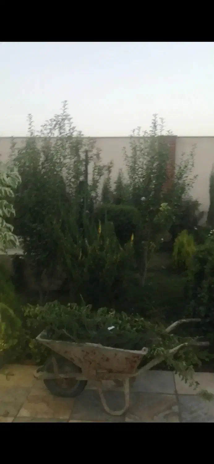 300متر باغچه/استخر/خیابان پدم/سند تک برگ/شهرکی|فروش زمین و ملک کلنگی|صفادشت, |دیوار