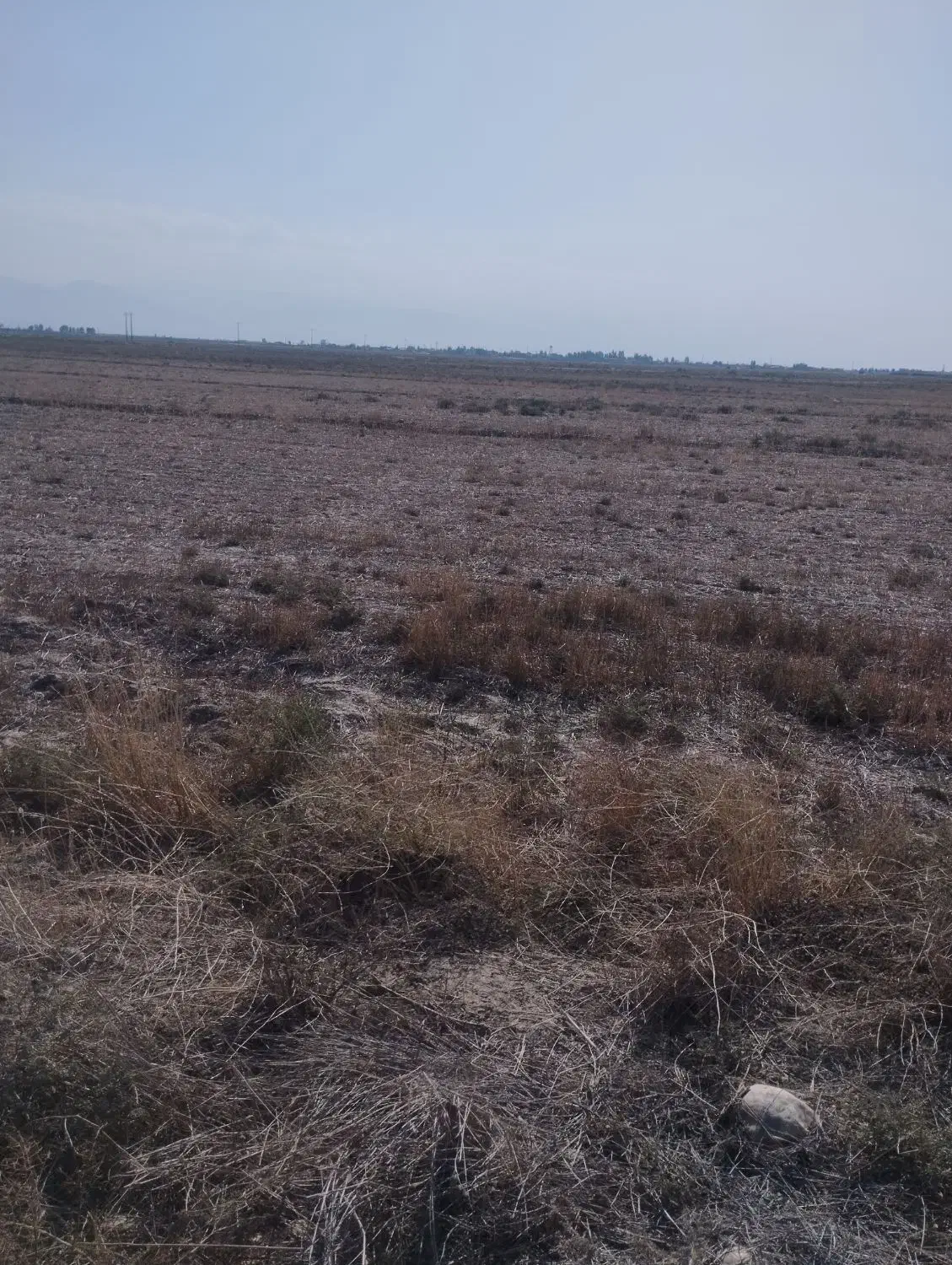 زمین|اجارهٔ دفتر صنعتی، کشاورزی، تجاری|گنبد کاووس, |دیوار