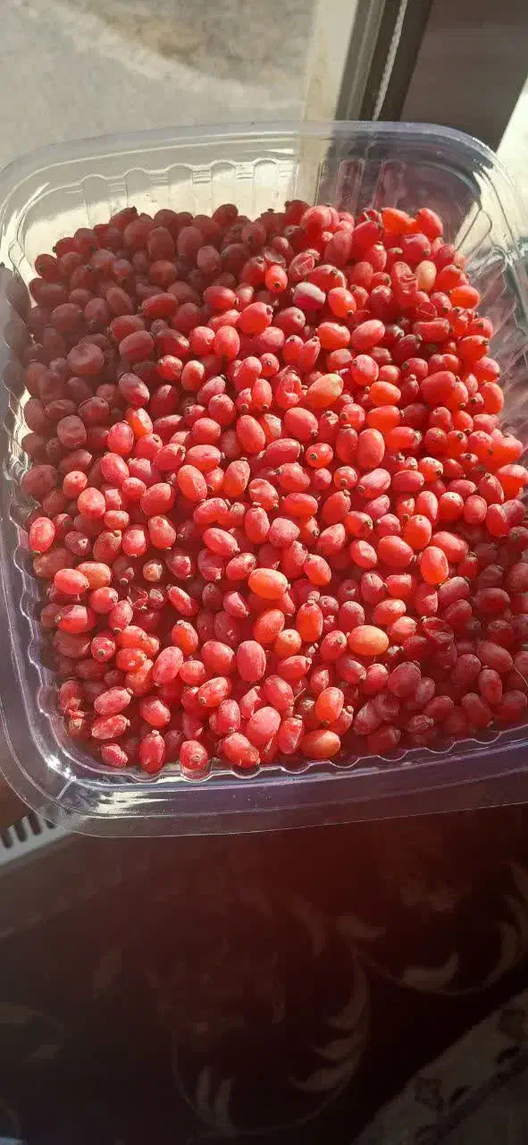زرشک تازه درشت|حراج|مشهد, الهیه|دیوار
