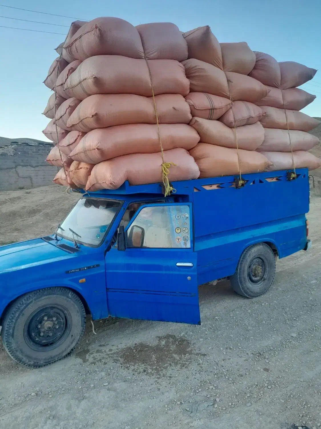 کاه گندم کاهکوب|حیوانات مزرعه|قوچان, |دیوار