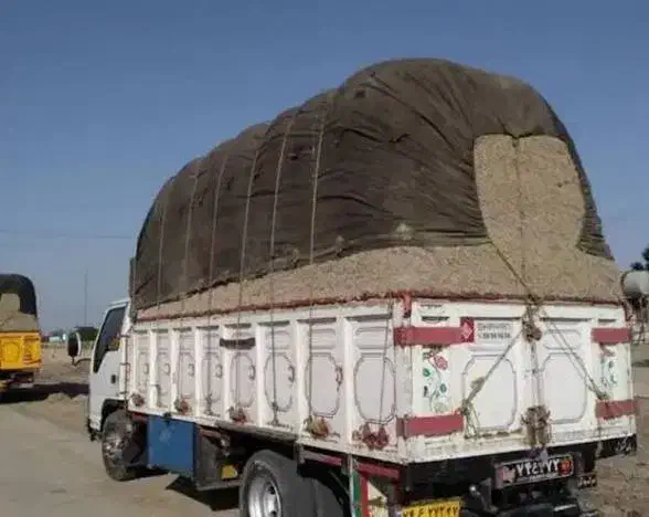 فروش کاه نیشکر|خدمات پیشه و مهارت|سورک, |دیوار