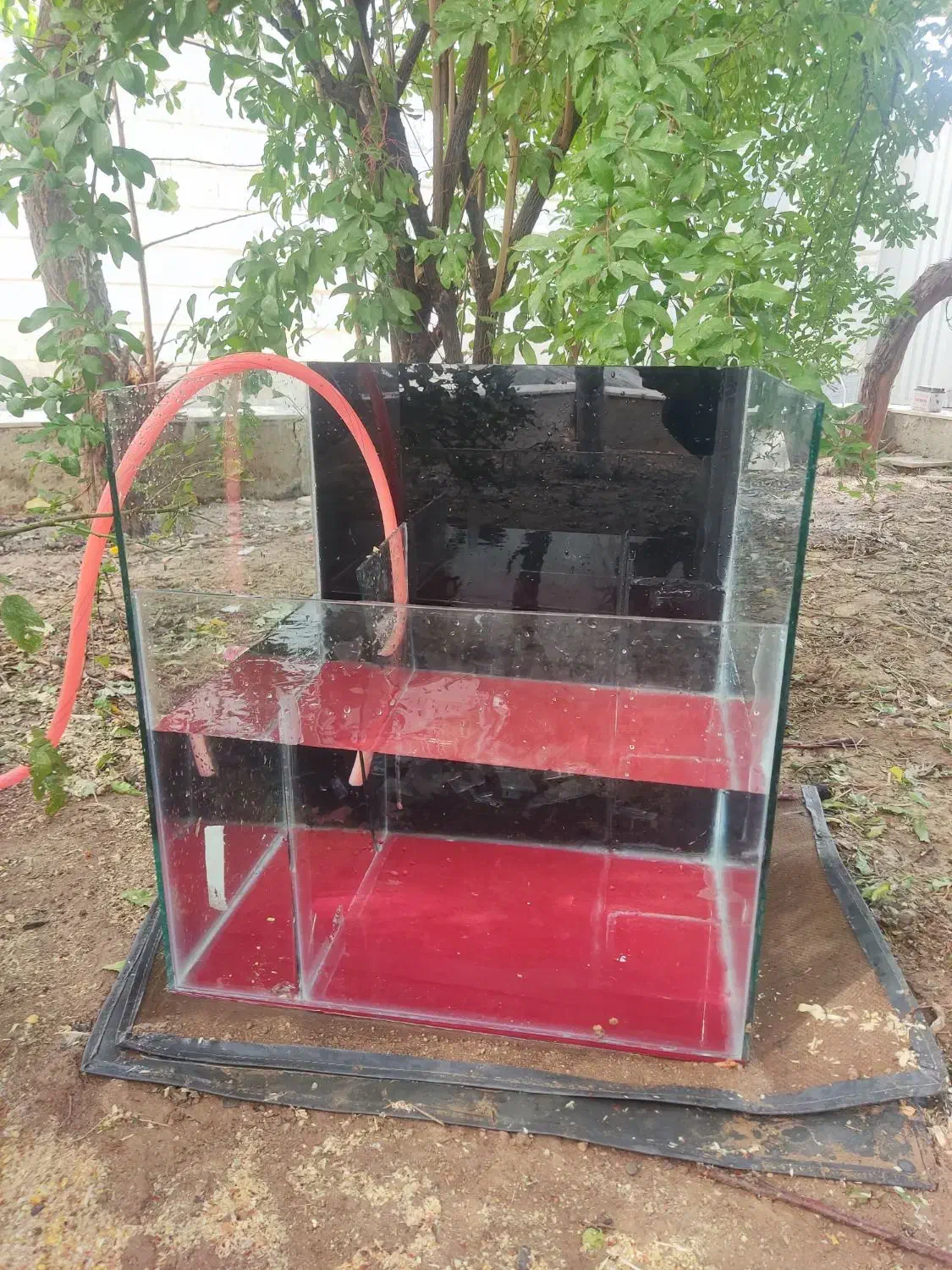 اکواریوم|ماهی|بروجرد, |دیوار