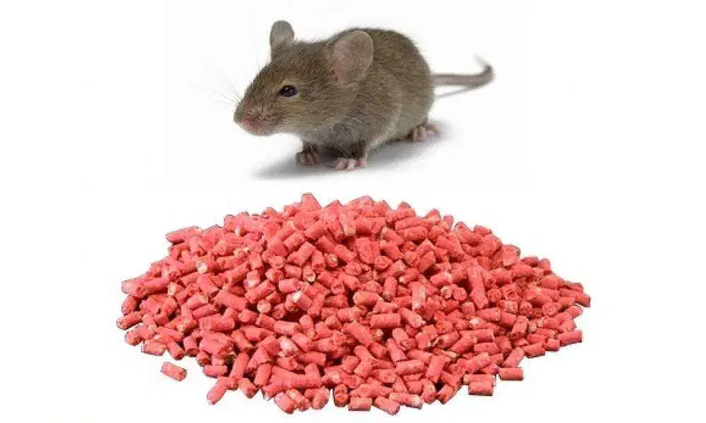 شرکت مبارزه با حشرات و ناقلین سلامت اندیشان طرهان|خدمات نظافت|کوهدشت, |دیوار