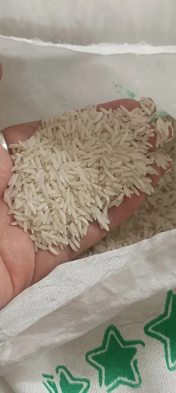 برنج ایرانی طارم هاشمی،فجر،آستانه،صدری.عنبربو|خوردنی و آشامیدنی|تهران, جوادیه تهرانپارس|دیوار