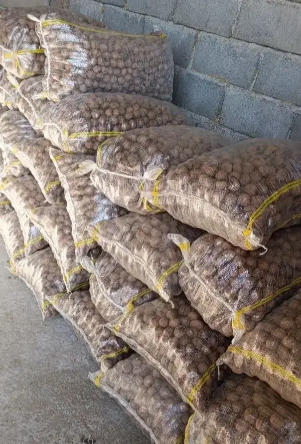 تمیز و ارگانیک|حراج|کرج, شاهین‌ویلا|دیوار