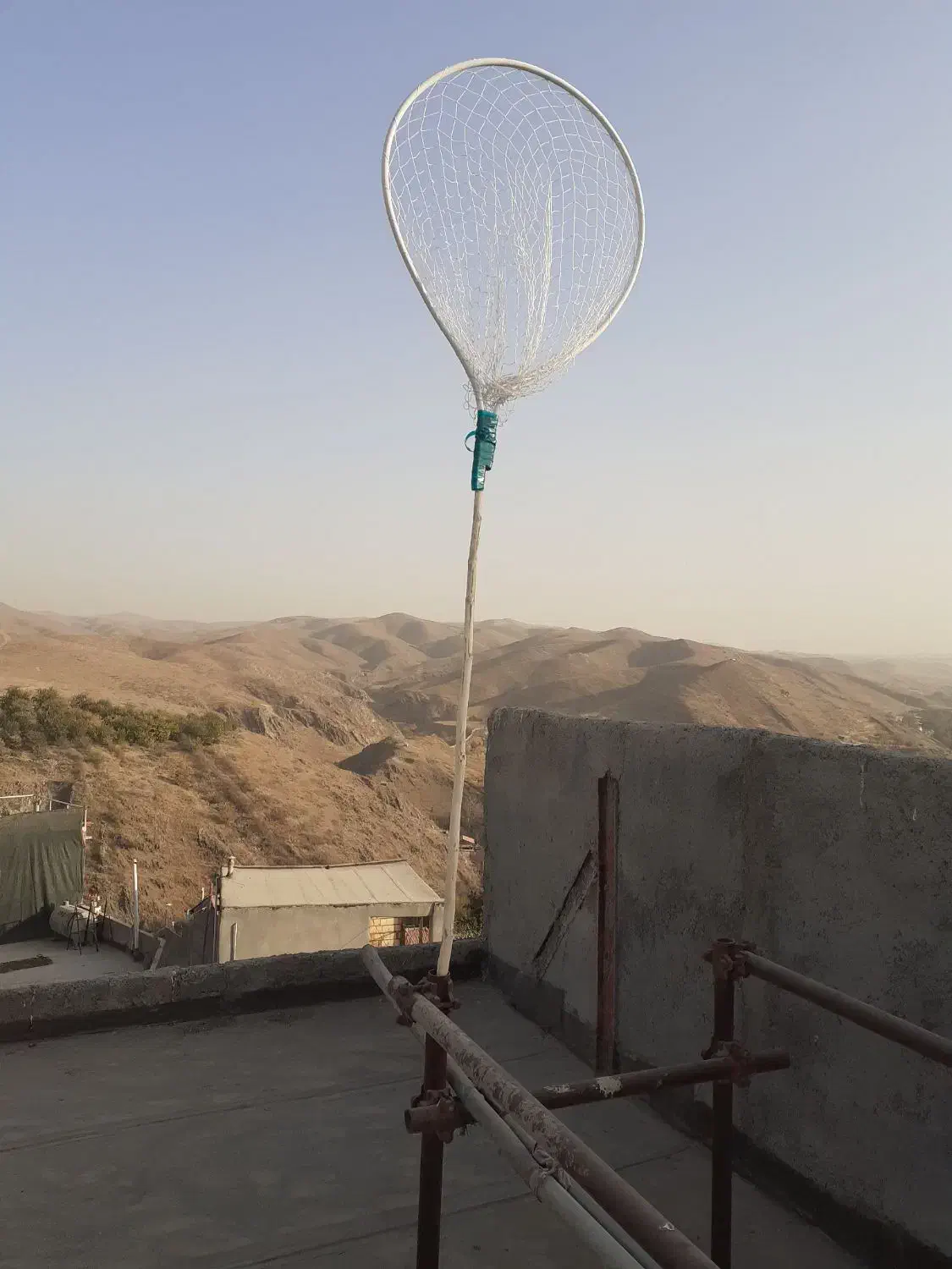 تور کبوتر|لوازم جانبی حیوانات|طرقبه, |دیوار