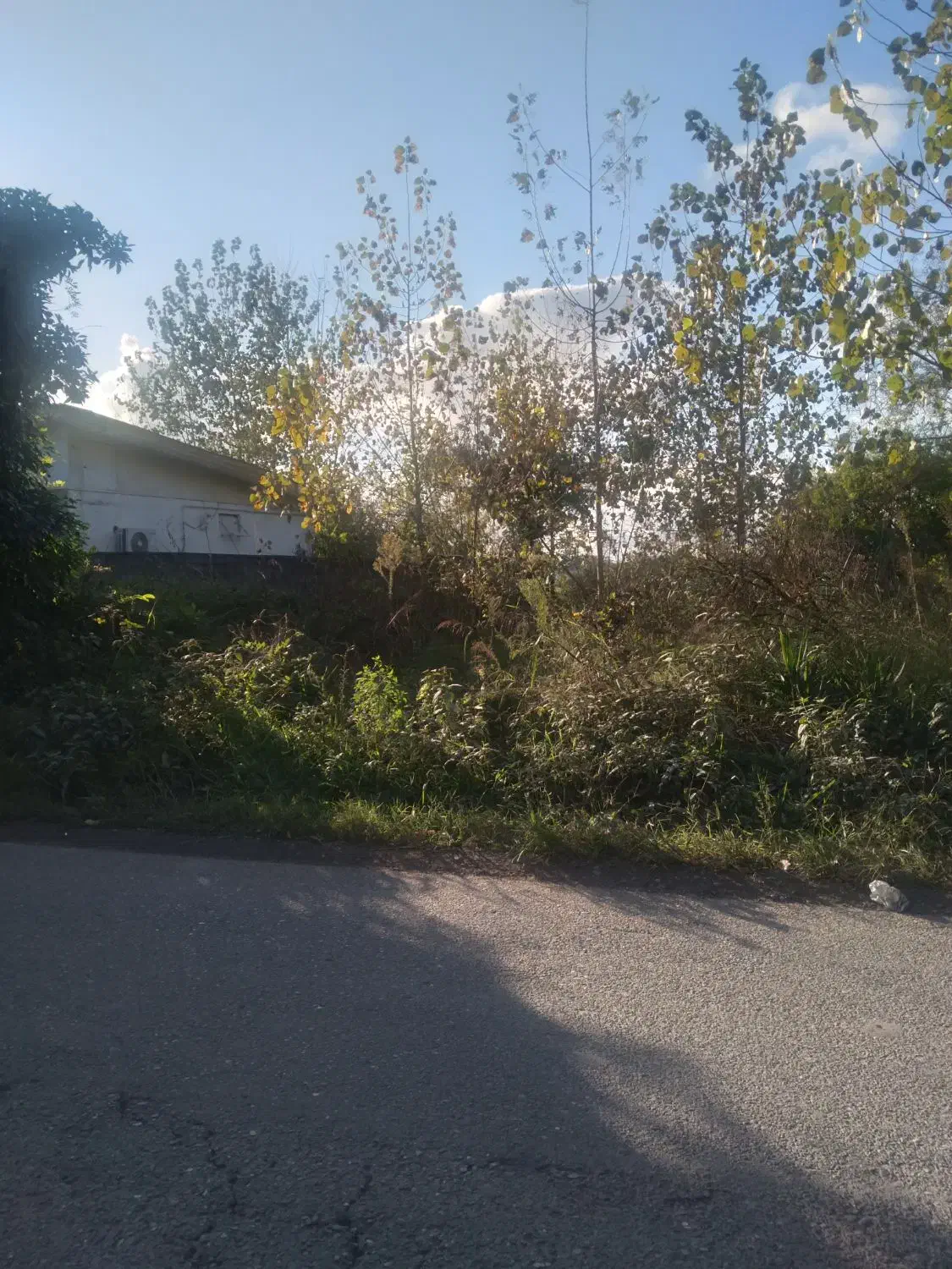 کلنگی ۲۴۸ متری با کنتور آب و برق اطراف کوچصفهان|فروش خانه و ویلا|رشت, بلوار گیلان|دیوار