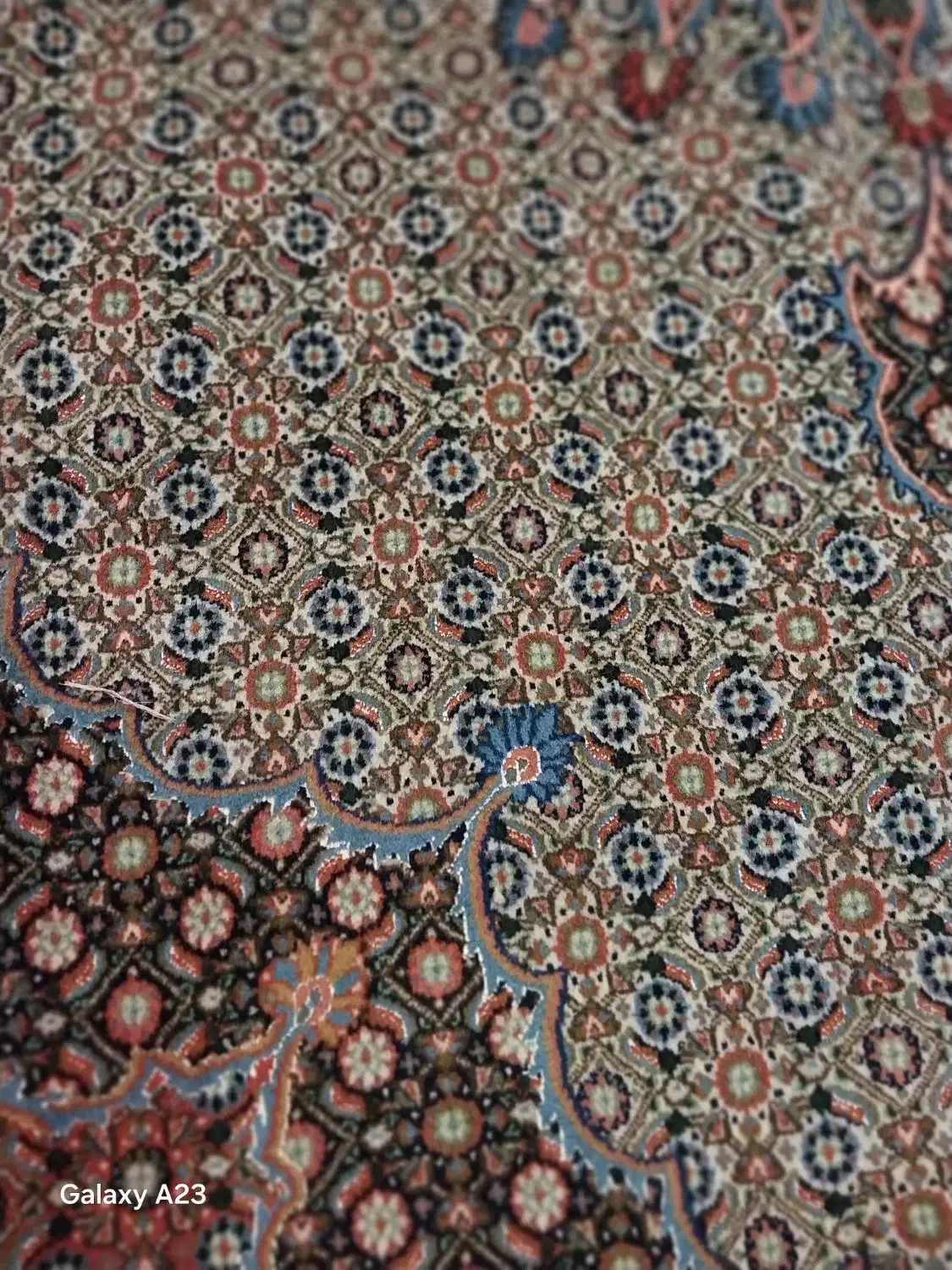 فرش دستباف بیرجند طرح ماهی|فرش|تهران, سید خندان (جلفا)|دیوار
