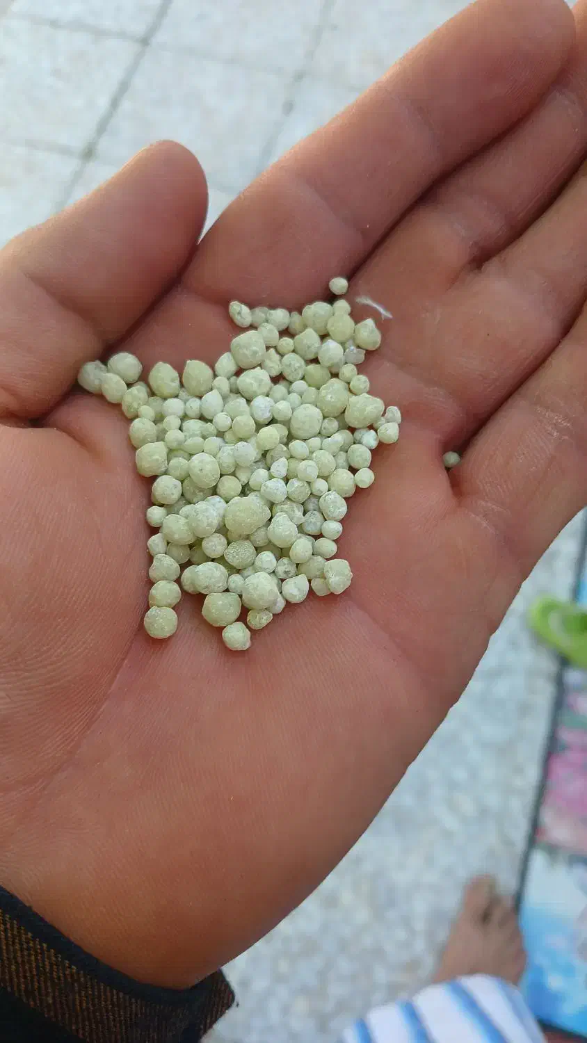 فروش کود دی امونیوم فسفات رازی|خدمات باغبانی و درختکاری|پاسارگاد, |دیوار