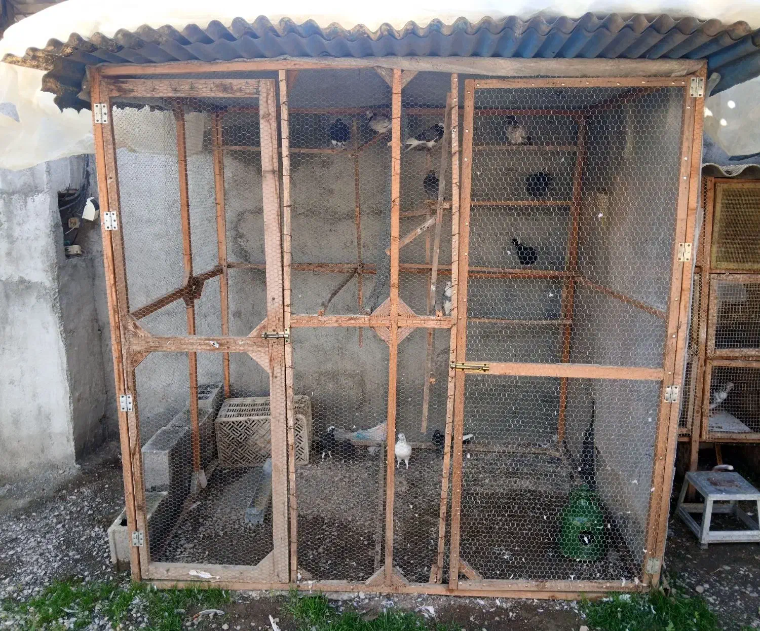 قفس چوبی کبوتر|لوازم جانبی حیوانات|کیاکلا, |دیوار