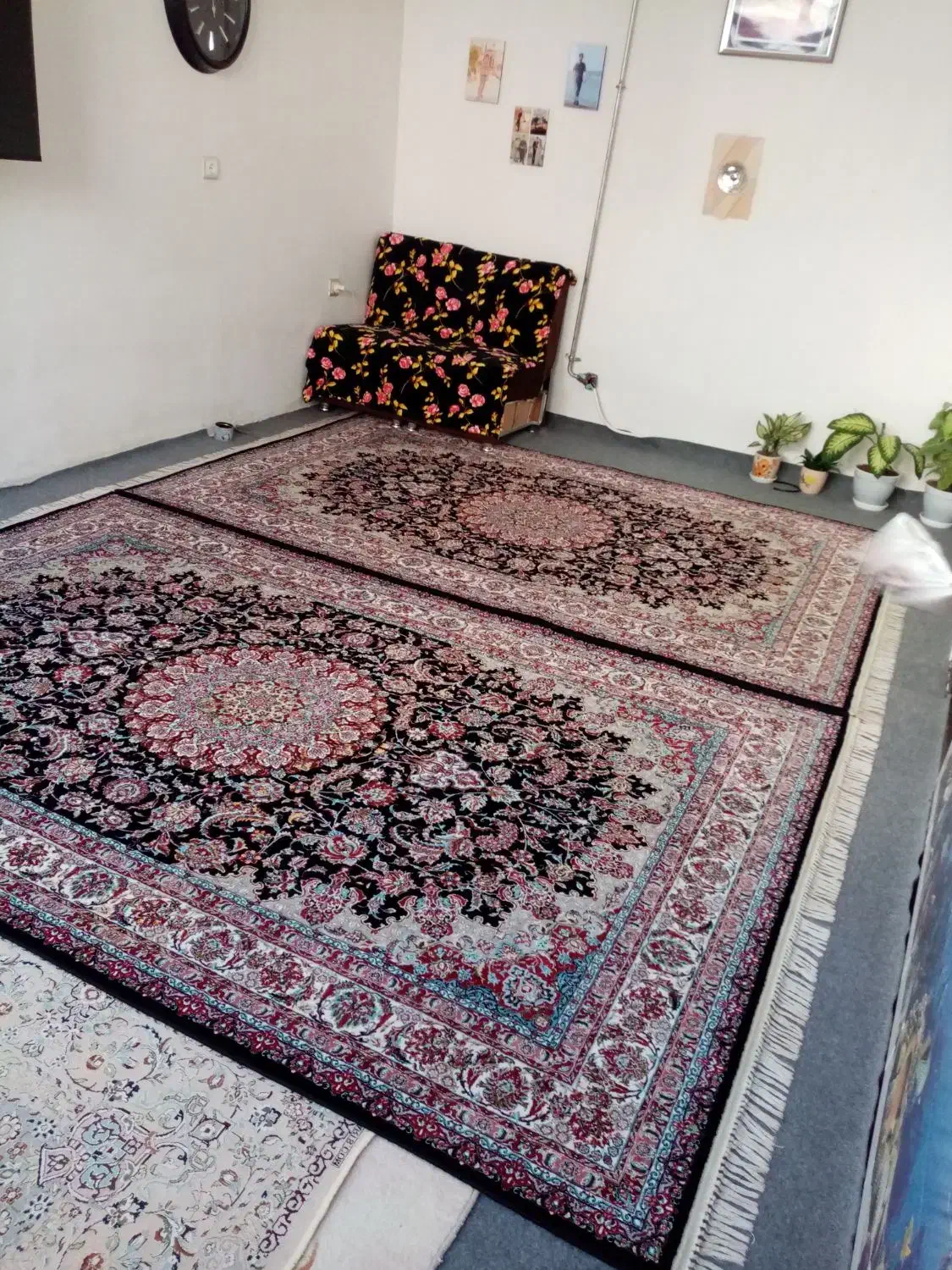 فرش عالی مشکی|فرش|پیرانشهر, |دیوار