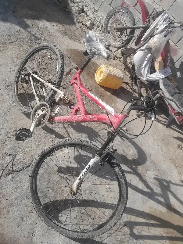 دوچرخه|دوچرخه، اسکیت، اسکوتر|قشم, |دیوار