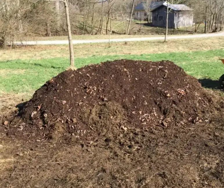 کود حیوانی|لوازم جانبی حیوانات|تاکستان, |دیوار