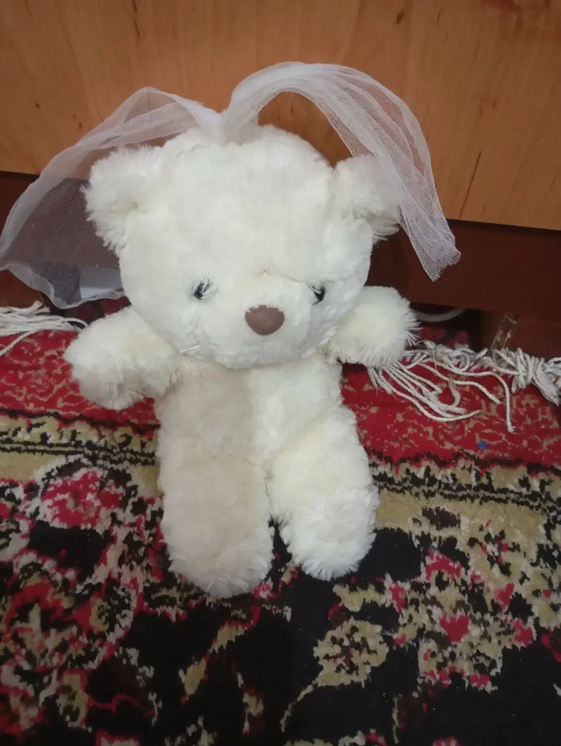 عروسک خرس|اسباببازی|یاسوج, |دیوار