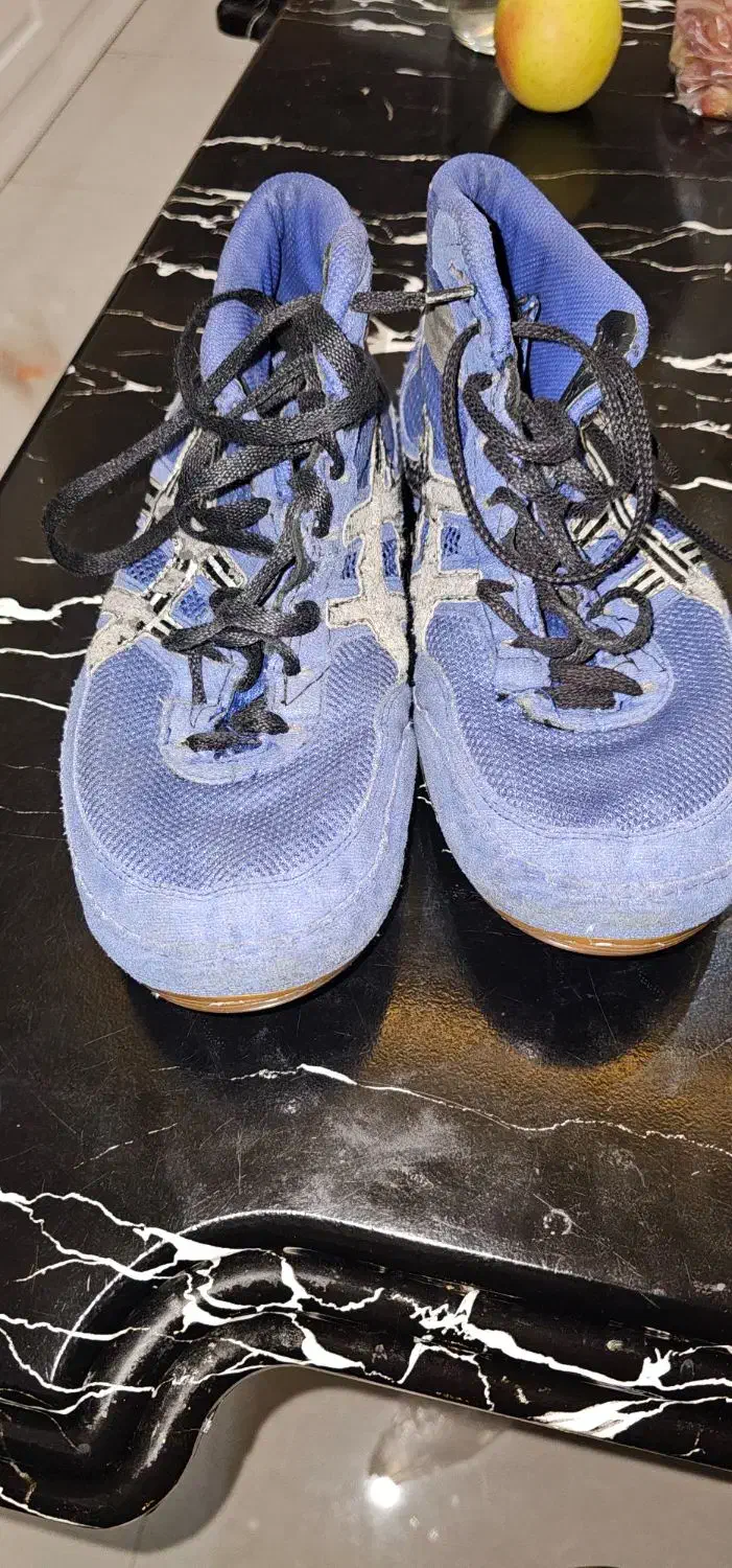 کفش کشتی ۴۳|کیف، کفش، کمربند|الوند, |دیوار