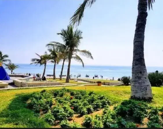 قشم ارزان|تور و چارتر|کاشان, دشت چال|دیوار