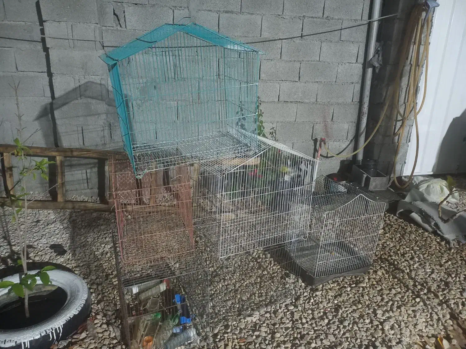 فروش قفس|لوازم جانبی حیوانات|اهرم, |دیوار