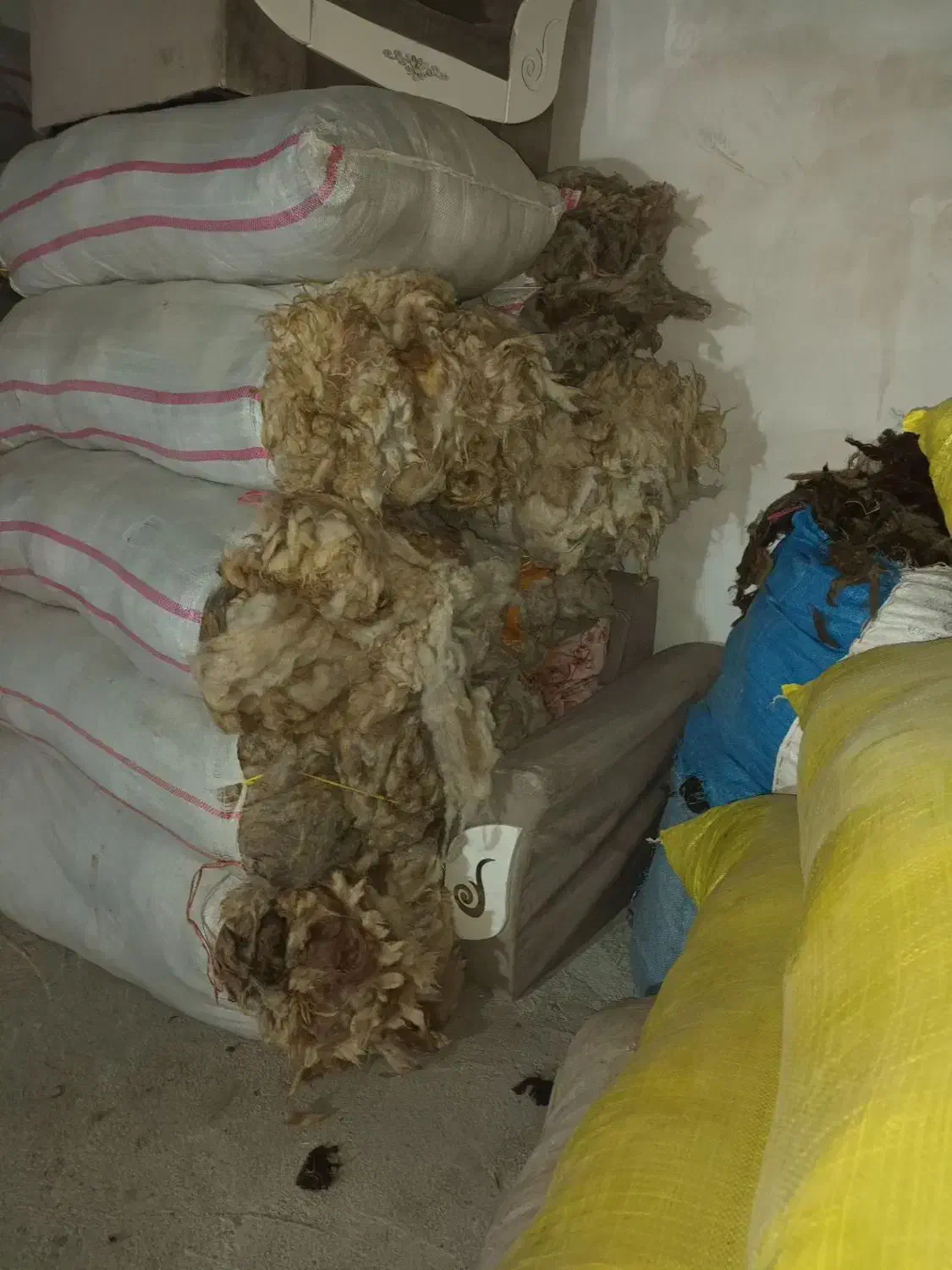 پشم گوسفند سفید اعلای گرمانشاه|رختخواب، بالش، پتو|تبریز, |دیوار