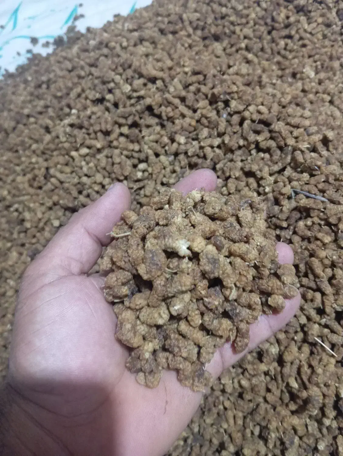 توت خشک|خوردنی و آشامیدنی|اهر, |دیوار