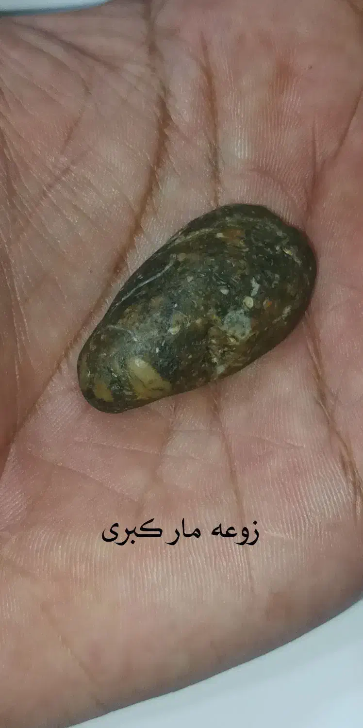 مهره (زوعه مار)اصل|کلکسیون اشیاء عتیقه|برازجان, |دیوار